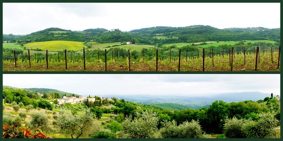 Chianti Classico Fri 1.jpg